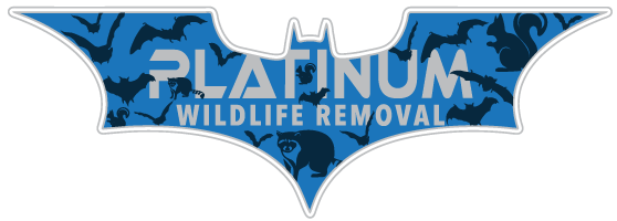 Swift Extermination LLC